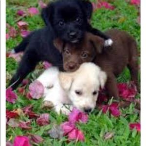 Meet your Posher, Tara